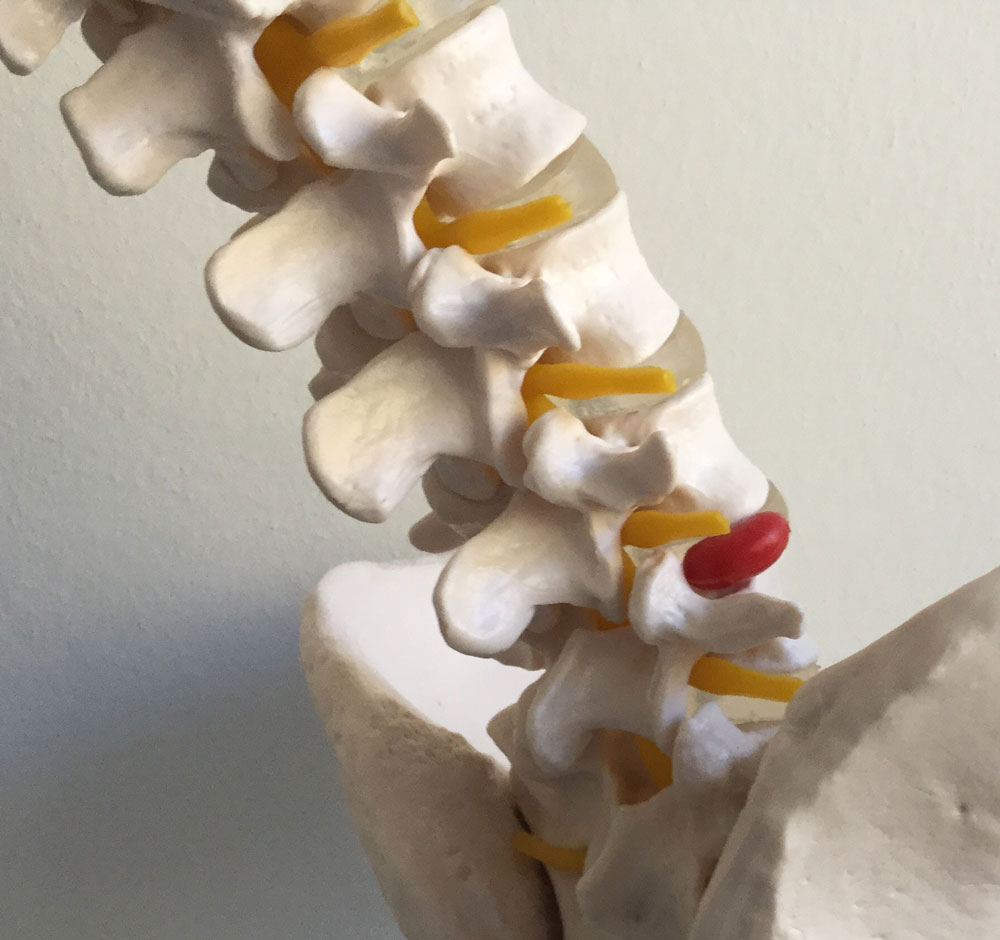 Hock Method Hock-Methode – Naturheilpraxis Brigitte Oechsle